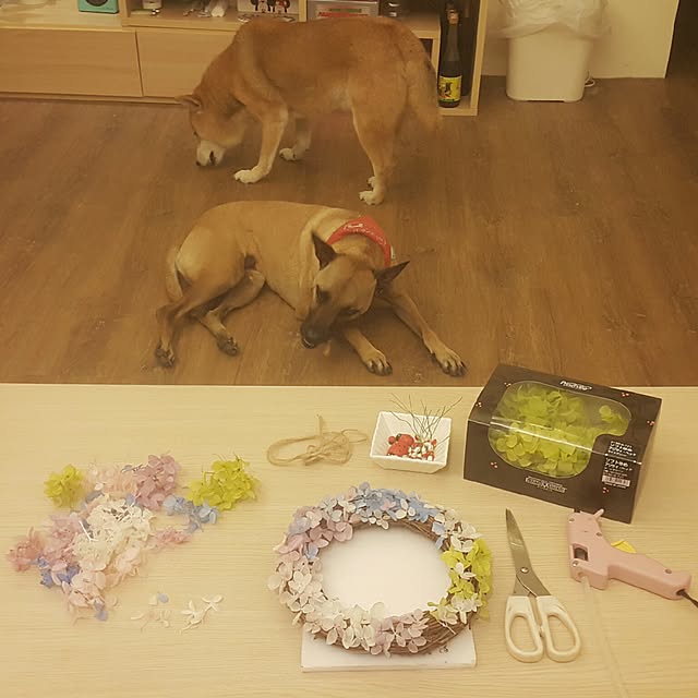 hahamiya365さんの実例写真