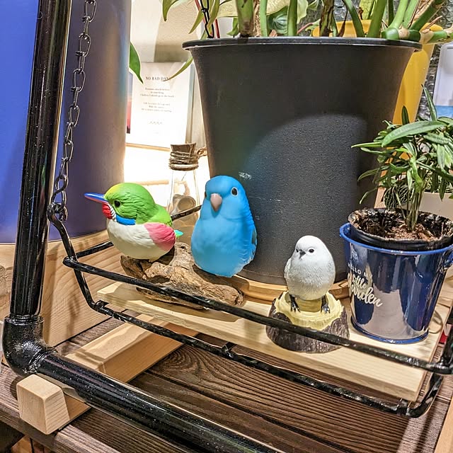 GINさんの部屋