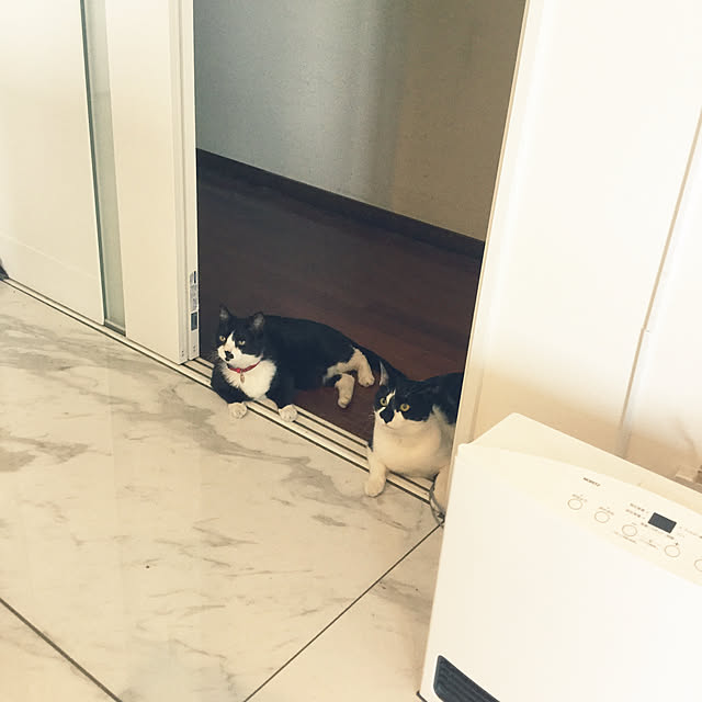noaさんの実例写真