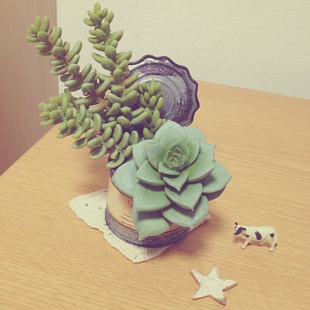 bonさんの実例写真