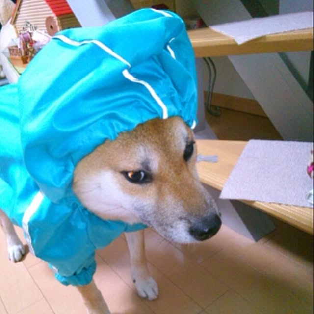 kotaさんの実例写真