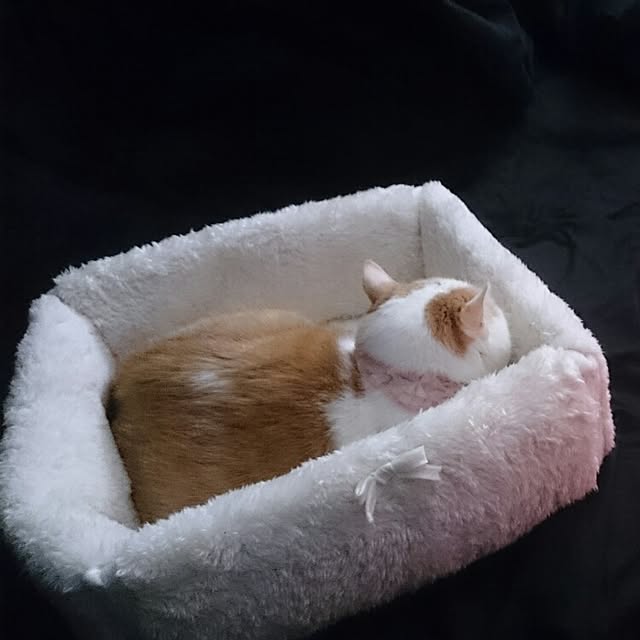 luxgさんの実例写真