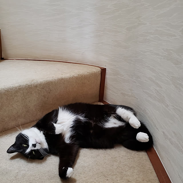 Mayumi8888さんの実例写真