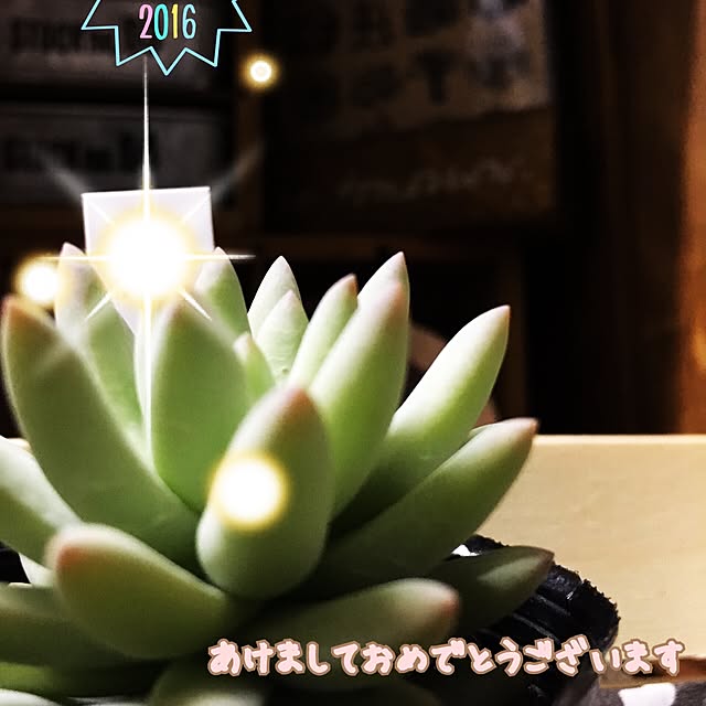 実例写真