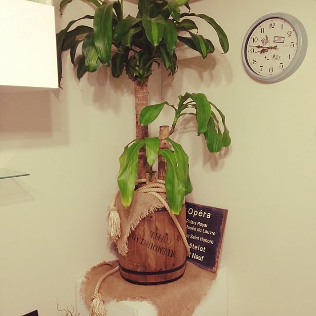 CAFE33さんの実例写真