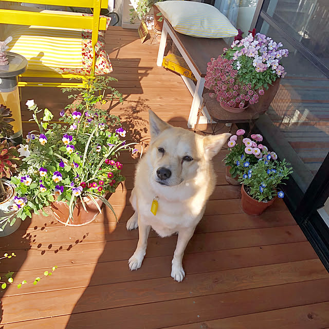 leonaさんの実例写真