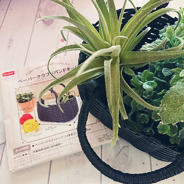 todorinkoさんの実例写真