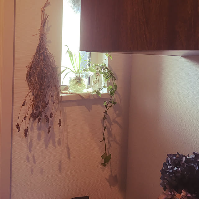 玄関/入り口/雑貨/観葉植物/ナチュラル/ドライフラワー...などのインテリア実例 - 2018-10-25 10:03:41