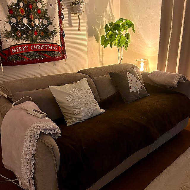 koha_hahahaさんの実例写真