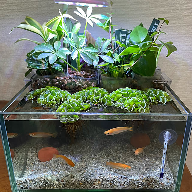 sayakaさんの実例写真