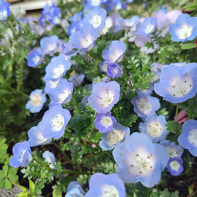 Hitomiさんの実例写真