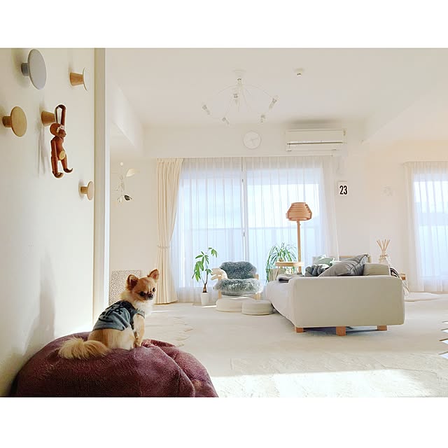 haruhinaさんの実例写真