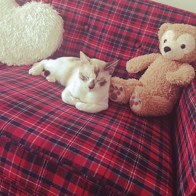 Bellさんの実例写真