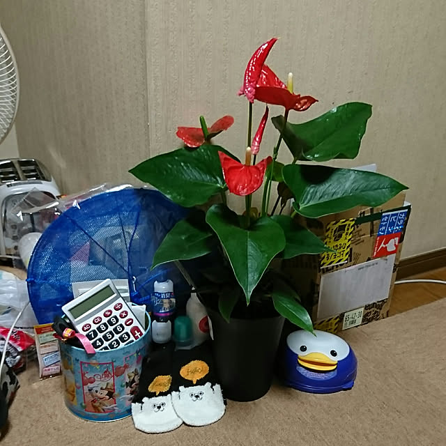 yuukyさんの実例写真