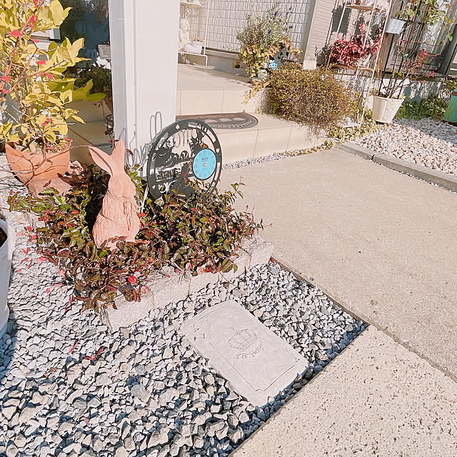 akiko-ovさんの部屋