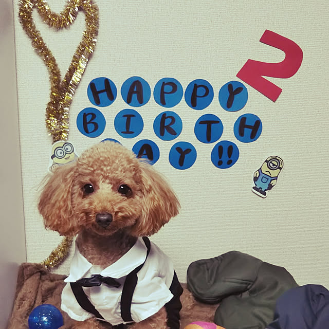 midayoooさんの実例写真