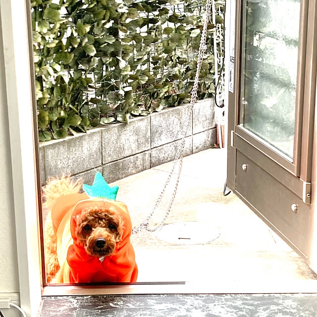 MOMOMAMAさんの実例写真