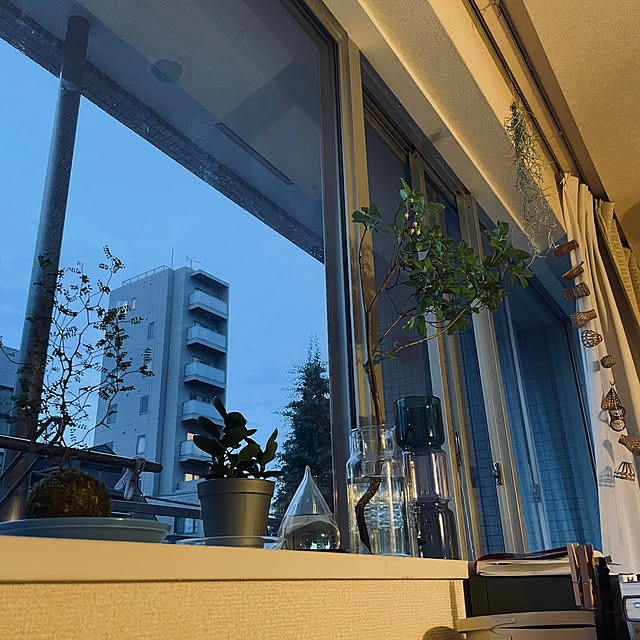 primulaさんの実例写真