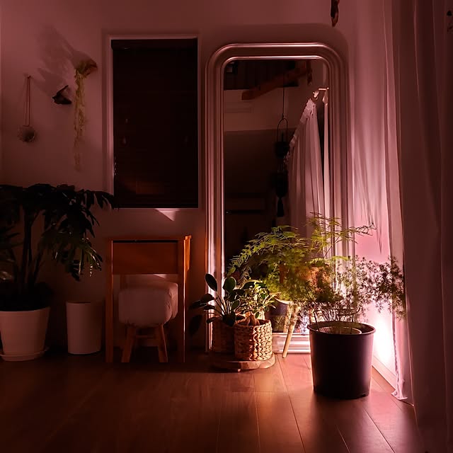 chidorinさんの部屋