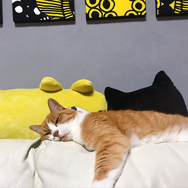 nyanko-beamさんの実例写真