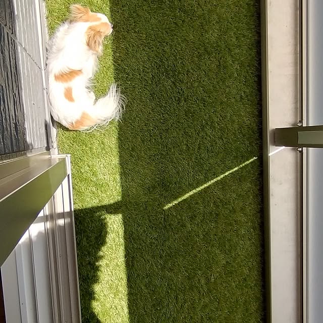 toratanさんの部屋