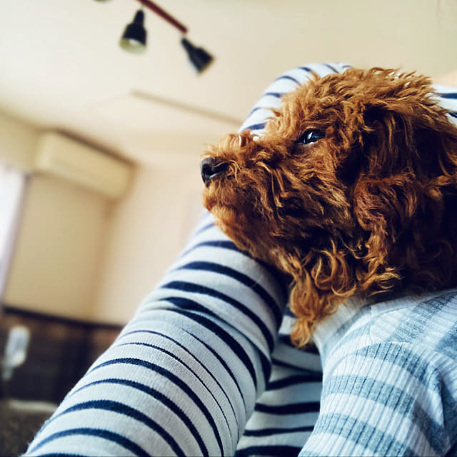 Royさんの実例写真