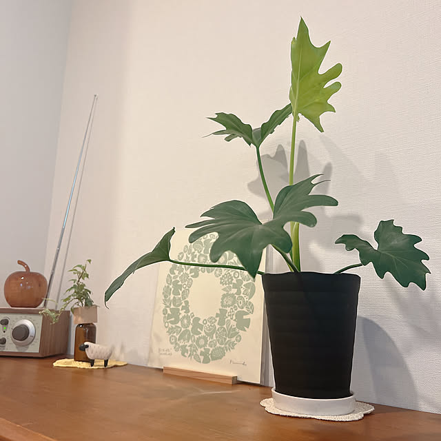 ponme33さんの部屋