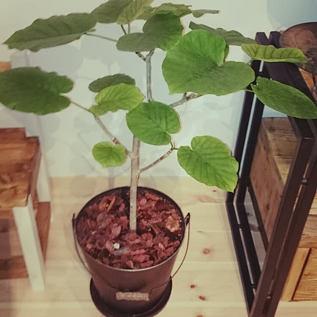 cocomanaさんの実例写真