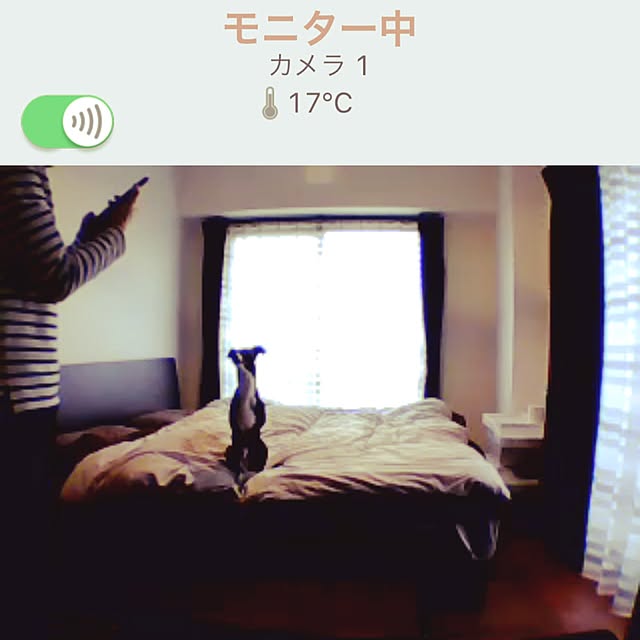 watakurumiさんの実例写真
