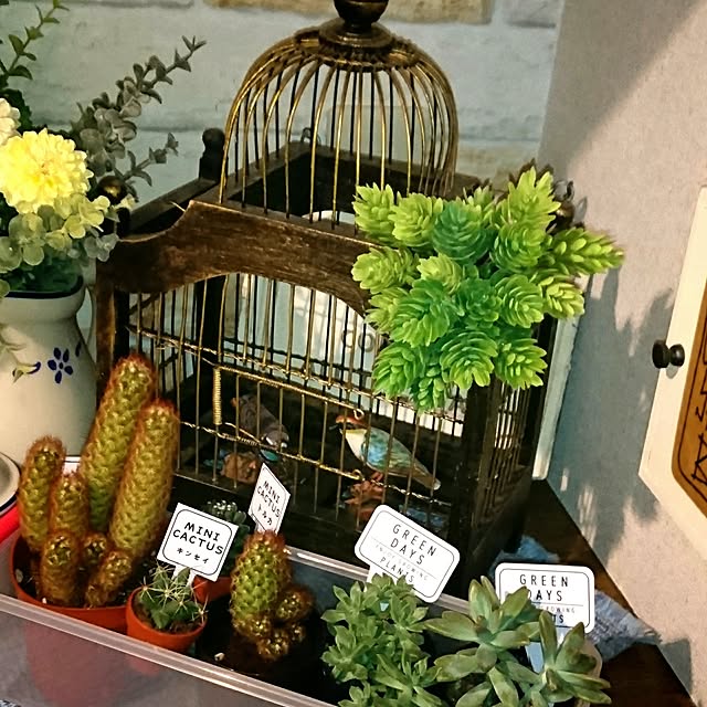 todorinkoさんの実例写真