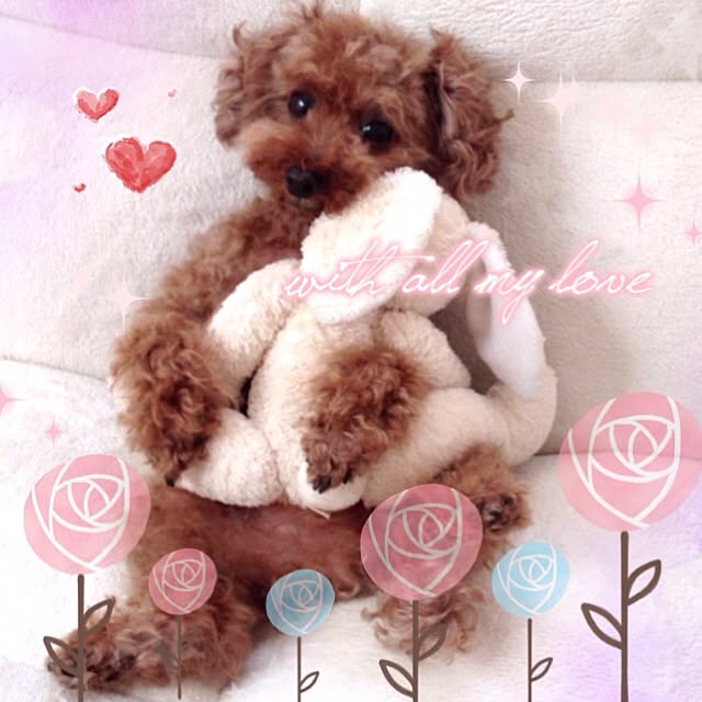 mamezoooさんの実例写真