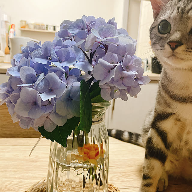 kikiさんの実例写真