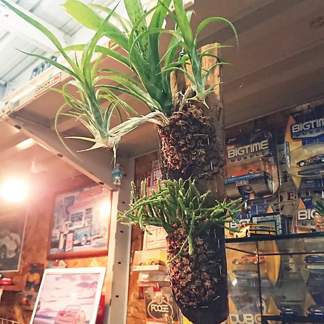 ot-gardenさんの実例写真