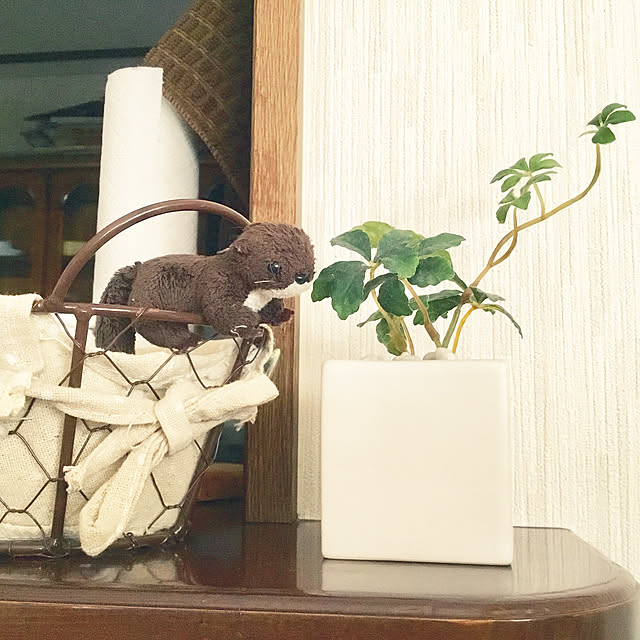 splush1219さんの実例写真