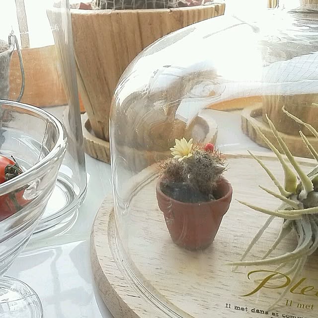 mikiさんの実例写真