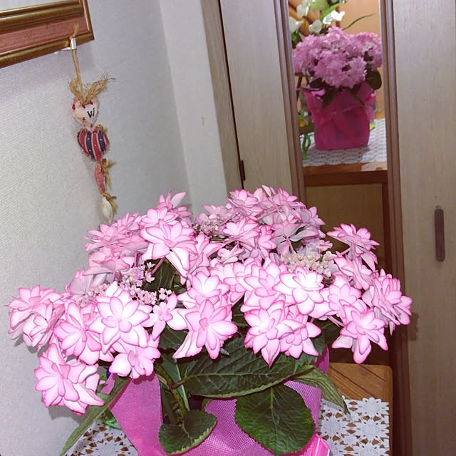 katさんの部屋