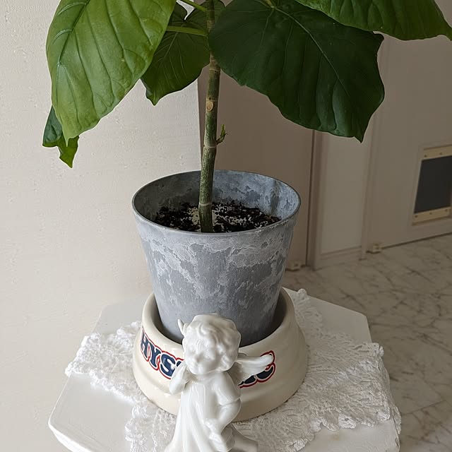 machikomamaさんの部屋