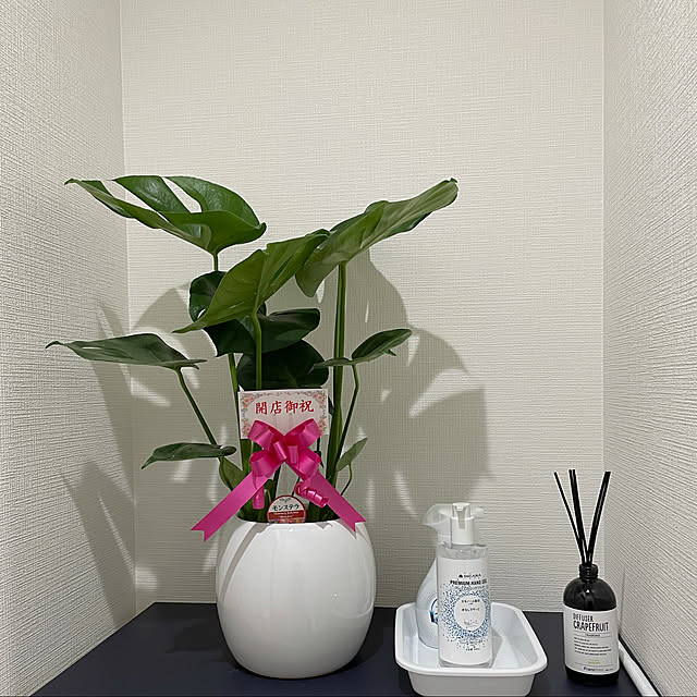 観葉植物/玄関/入り口のインテリア実例 - 2021-05-08 20:24:58