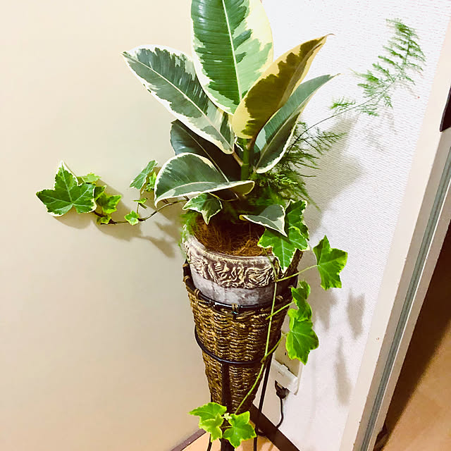 hanachanさんの部屋