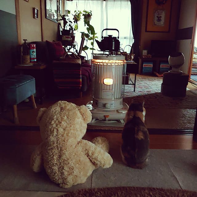 fukuさんの実例写真