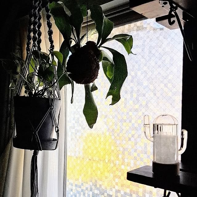 noaさんの部屋