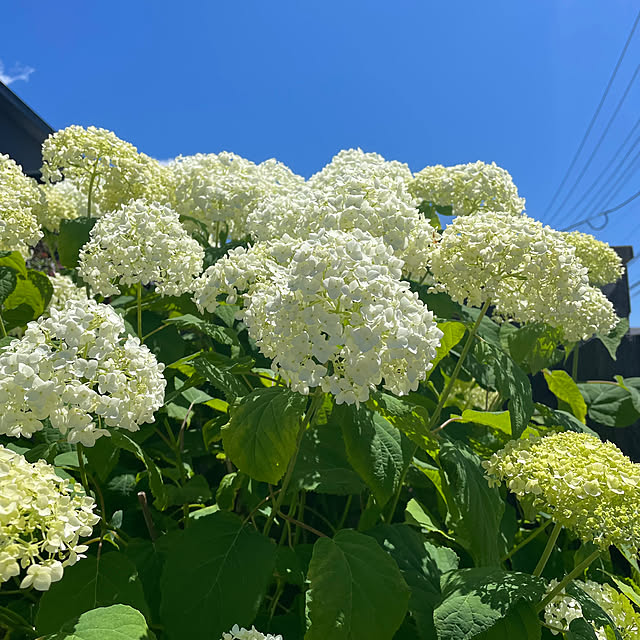 ikt.tamaさんの部屋