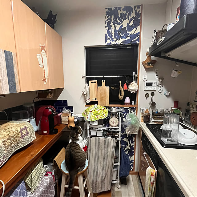 jijiさんの実例写真
