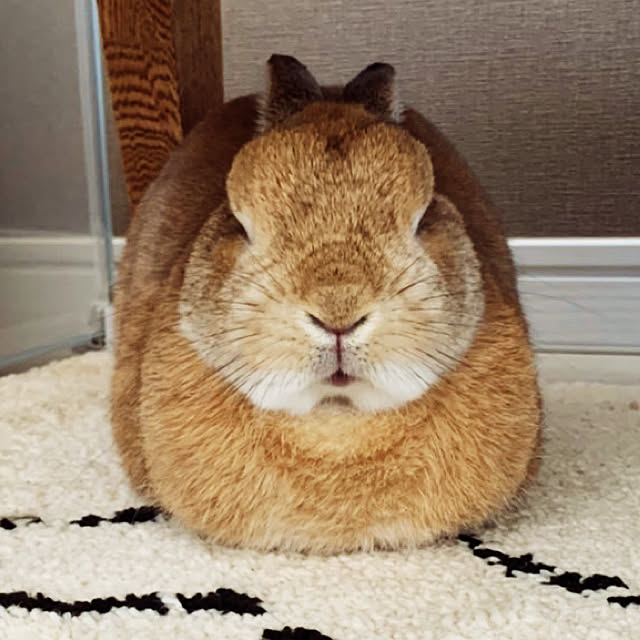 takeさんの実例写真