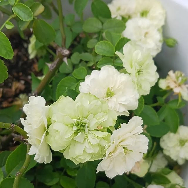 aiさんの部屋