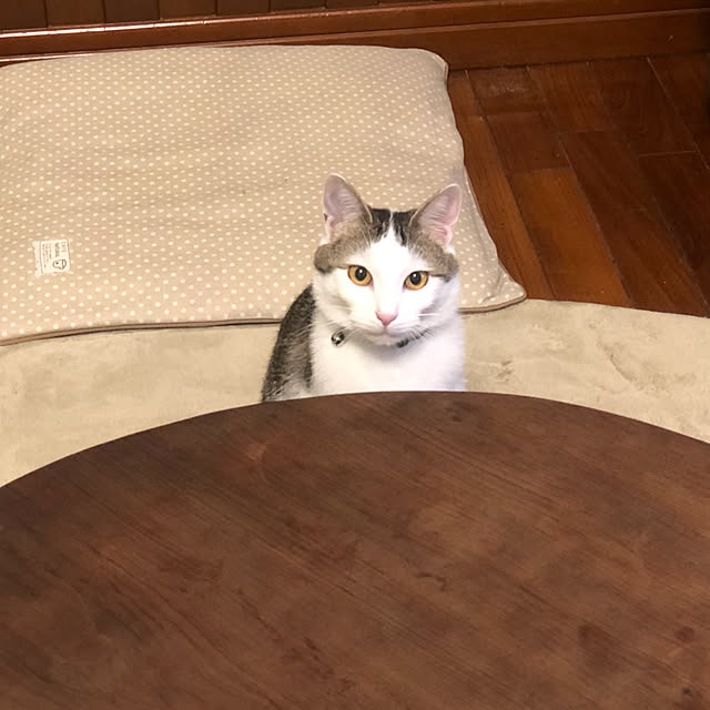 lovelyさんの実例写真