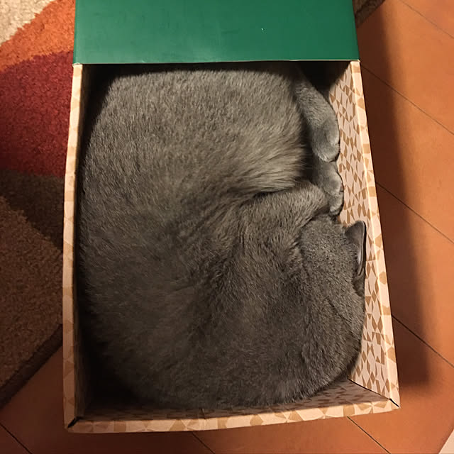 ikettenさんの実例写真