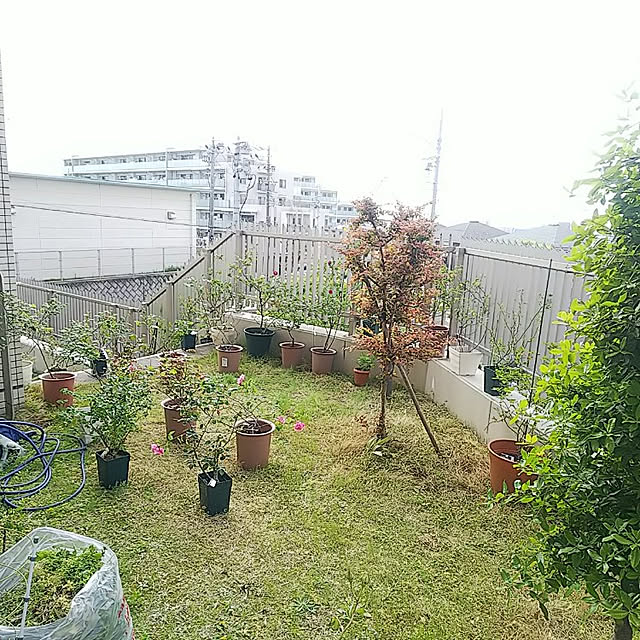 hiromimiさんの実例写真