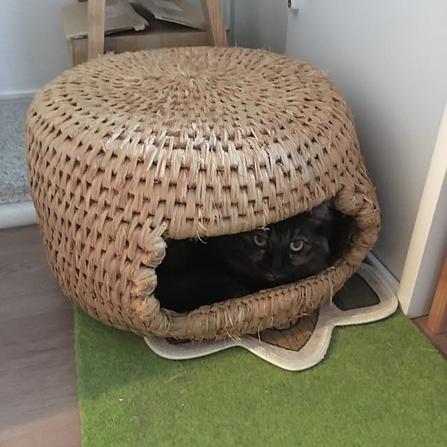 mikomaruさんの実例写真
