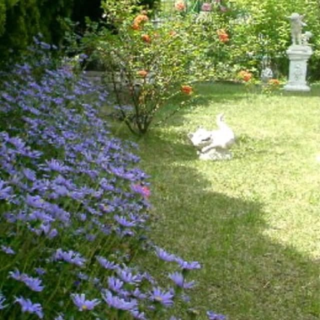 Kaoruさんの実例写真